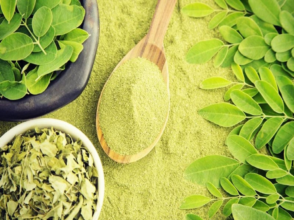 Voici les bienfaits du Moringa que vous ne savez pas