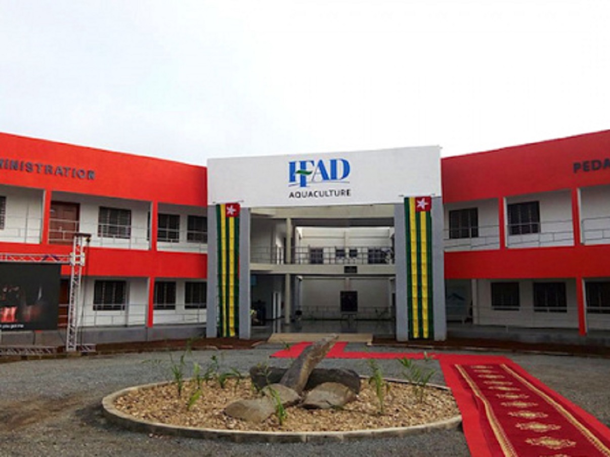Togo : Les inscriptions aux Instituts de formation en alternance pour le développement prorogées