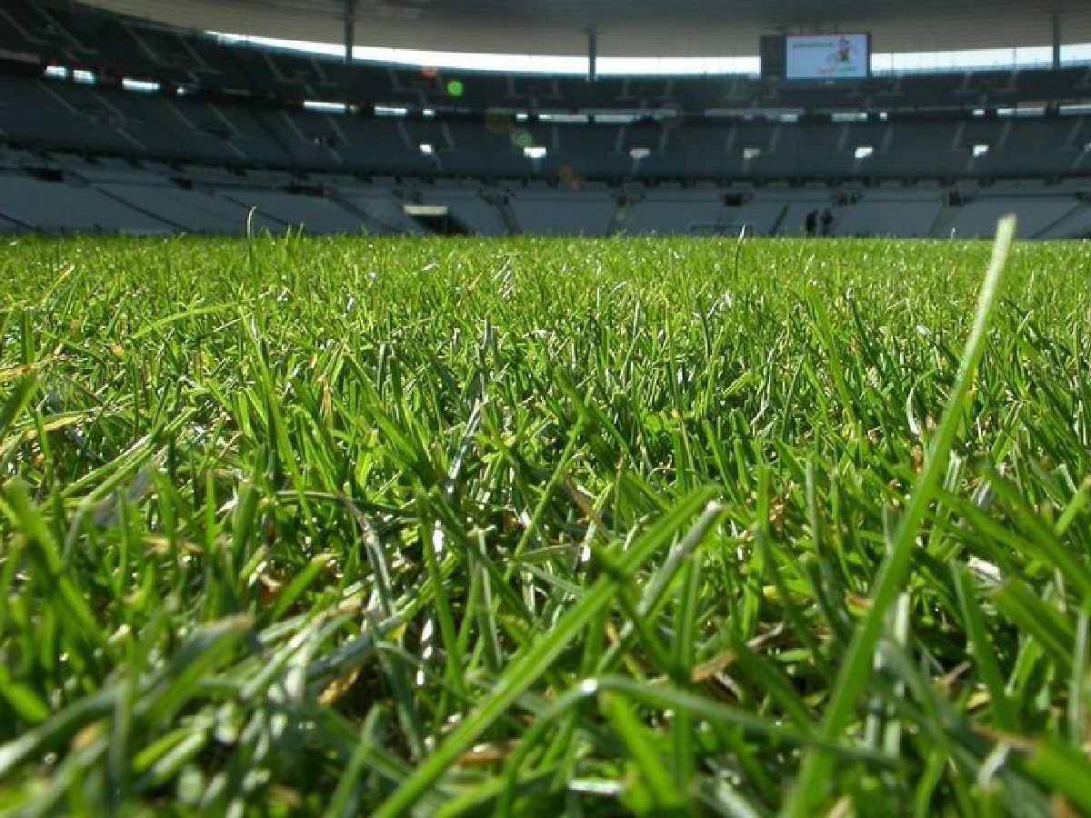 Ligue des Nations : un trou mystérieux sur la pelouse du match Danemark-Autriche intrigue les internautes (photos)