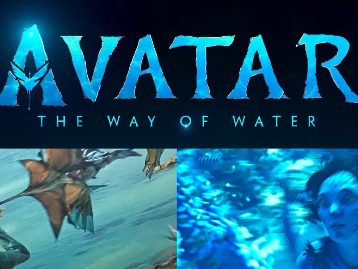Avatar 2 : une nouvelle image sensationnelle du film fuite sur la toile