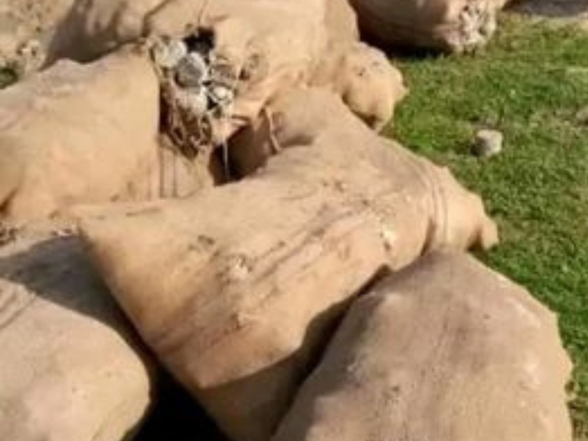 Billets de banque empilés, gros sacs remplis d’argent… une décharge de millions au Tchad… La toile s’embrase (Photo)