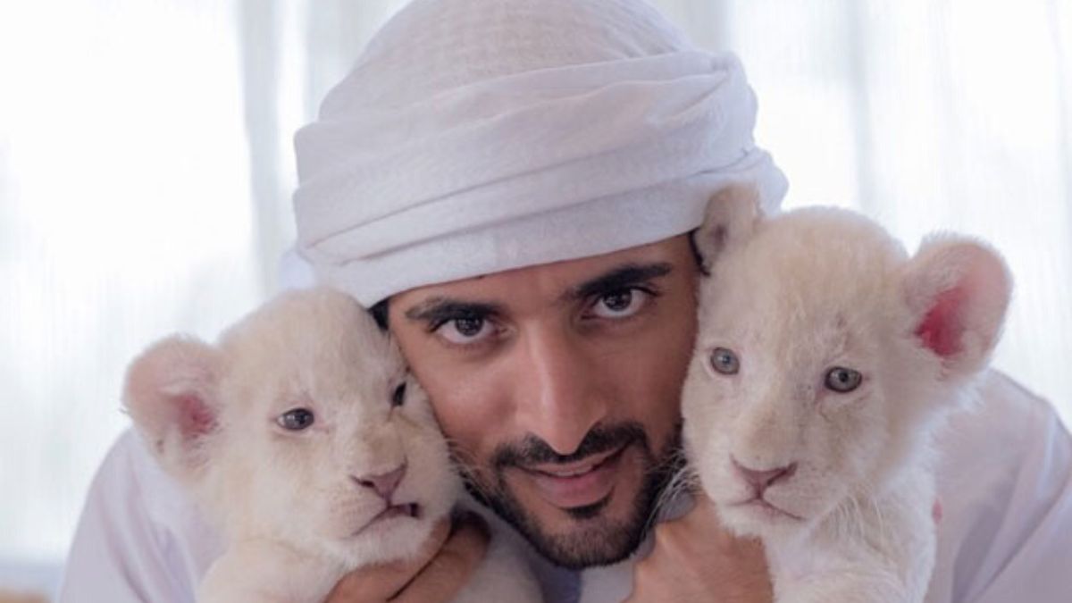 Fazza : voici comment le prince héritier de Dubaï dépense son immense fortune (vidéo)