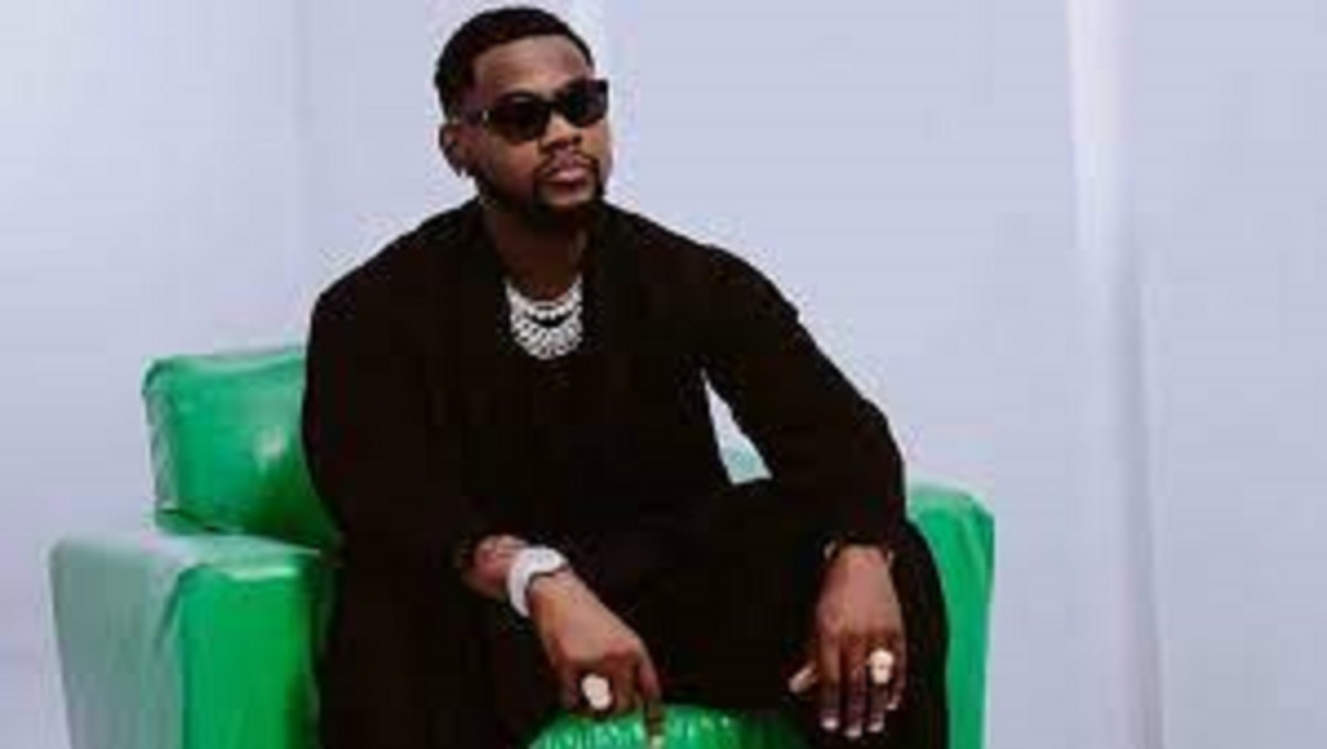 Kizz Daniel : quand la star transforme son concert de musique en scène de stre@ptease (vidéo)