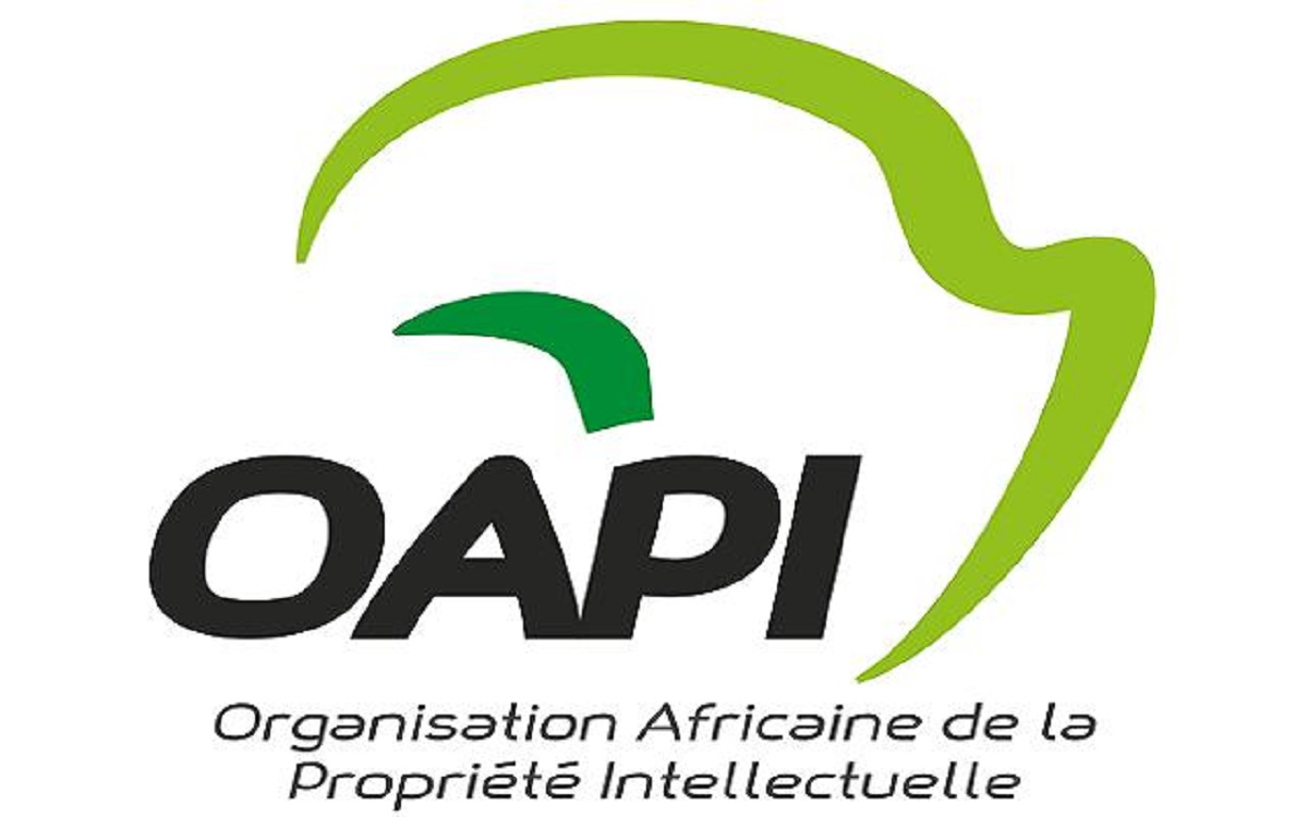 OAPI : un directeur nommé à la tête de l’institution africaine