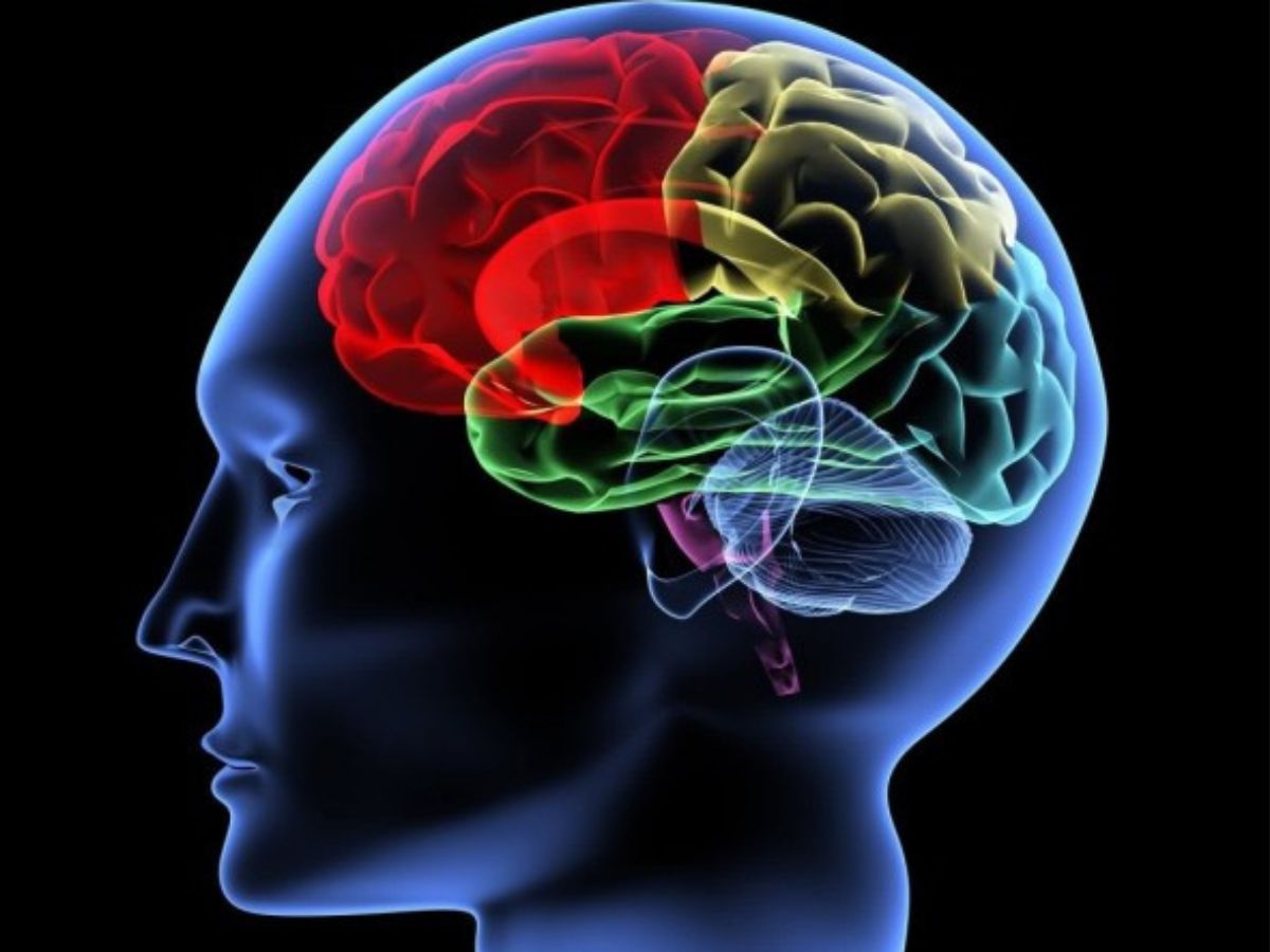 Alzheimer : cet exercice simple à faire pour réduire le développement de la maladie