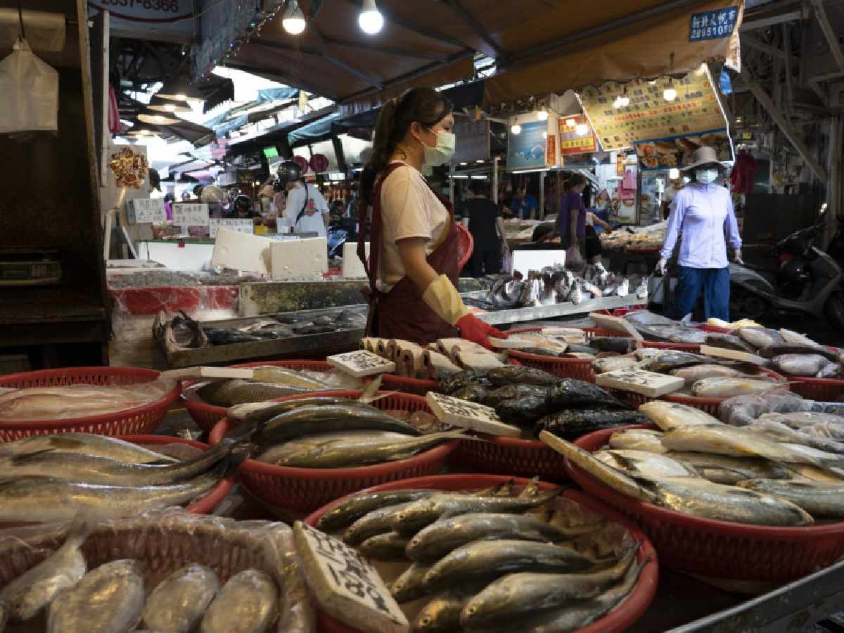 Covid-19 : la Chine teste maintenant les poissons et les crustacés ! (vidéo)