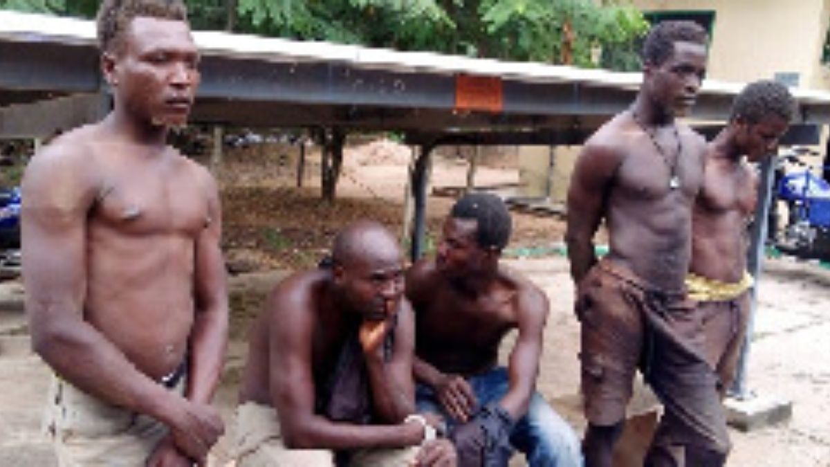 Ghana : une ferme de cannabis de 80 hectares découverte ; 5 personnes arrêtées