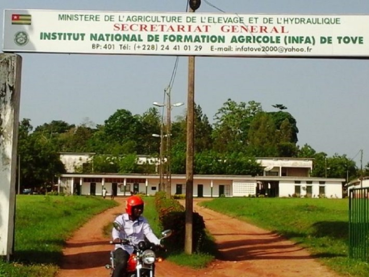 Togo / Concours d’entrée à l’Institut National de Formation Agricole (INFA) de Tové : voici comment postuler