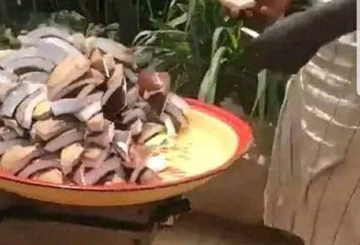 Attention à ce que vous mangez dehors ; un revendeur de noix de coco pris en flagrant délit en train de laver ses noix dans une rigole (photos)