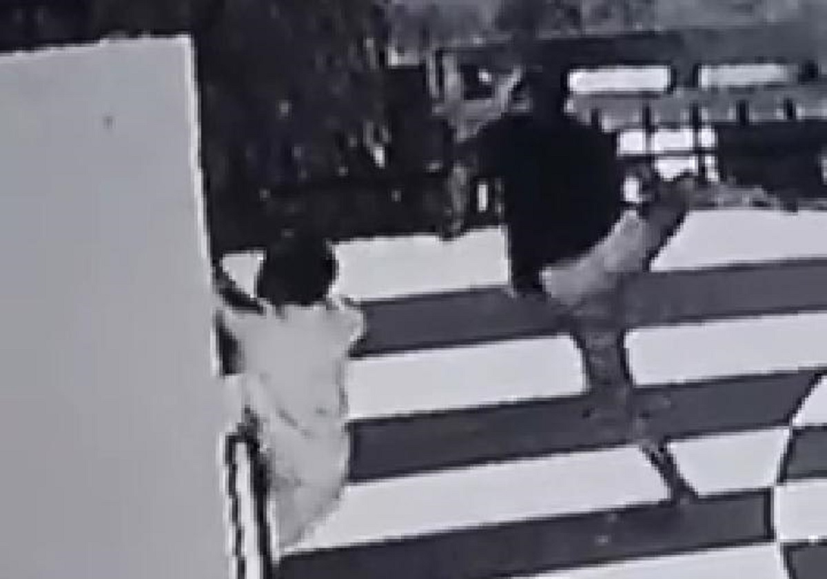 Choc au Togo : des voleurs filmés en train d’escalader le mur d’une maison (vidéo)