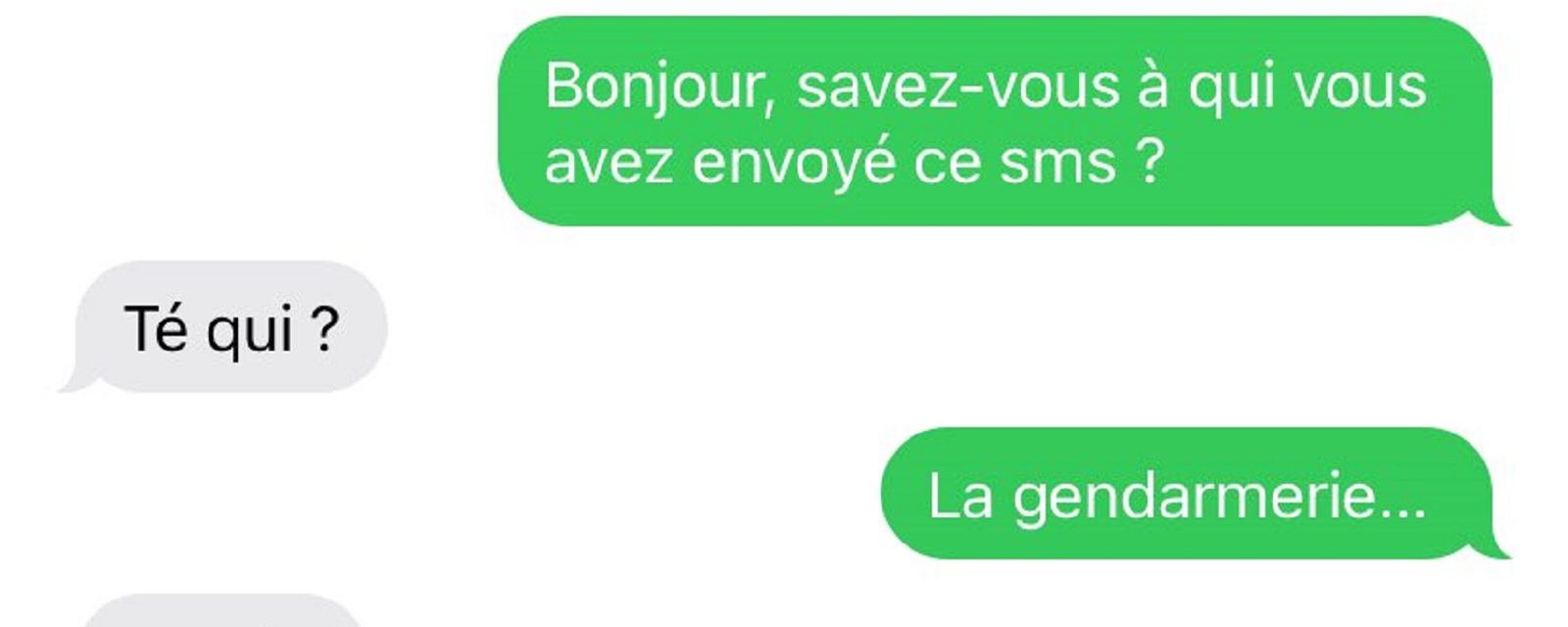 Arnaque par SMS : Un escroc tombe par malheur sur le numéro de la gendarmerie (photo)