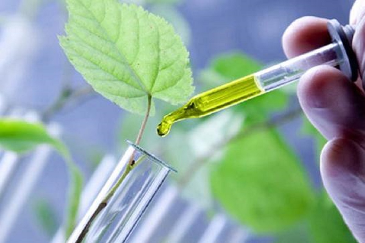 Togo : Un incubateur de recherche agricole et agroalimentaire ouvert