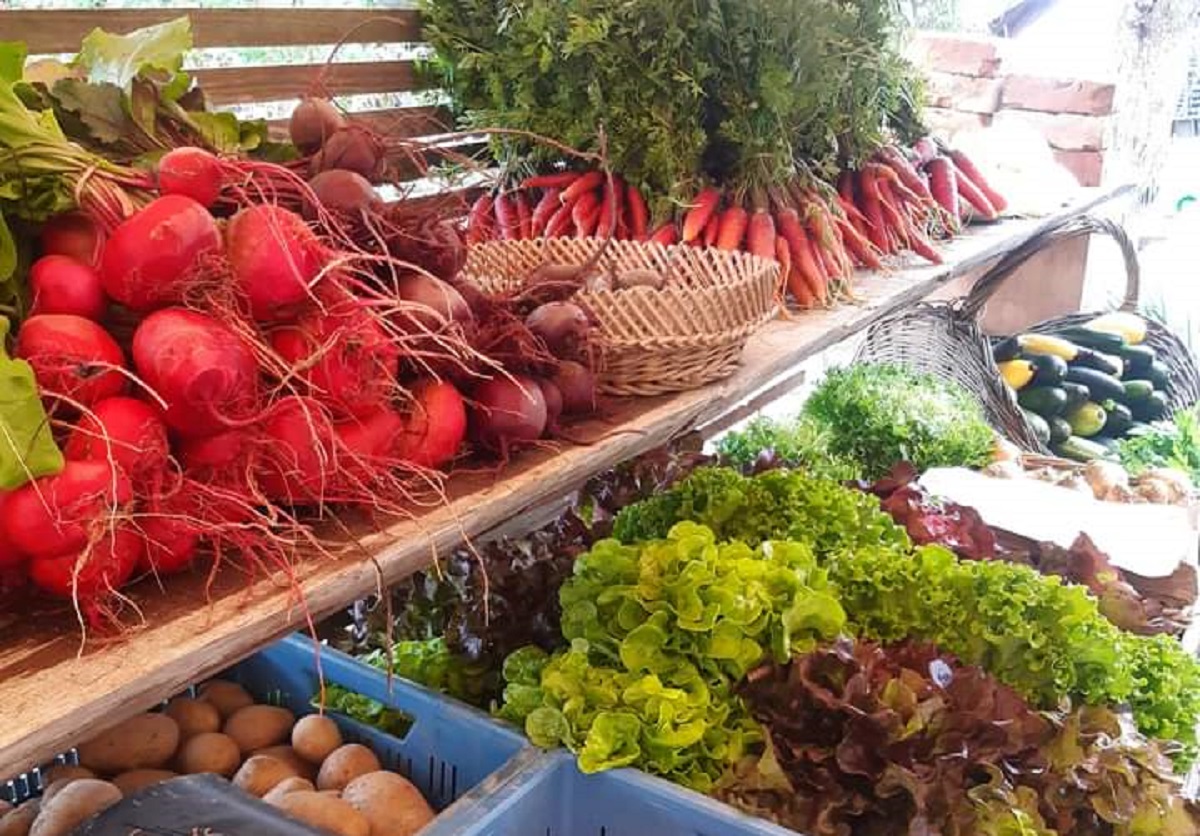 Togo : le marché des fruits et produits maraîchers « abattoir » délocalisé le 15 octobre ; voici le nouveau lieu