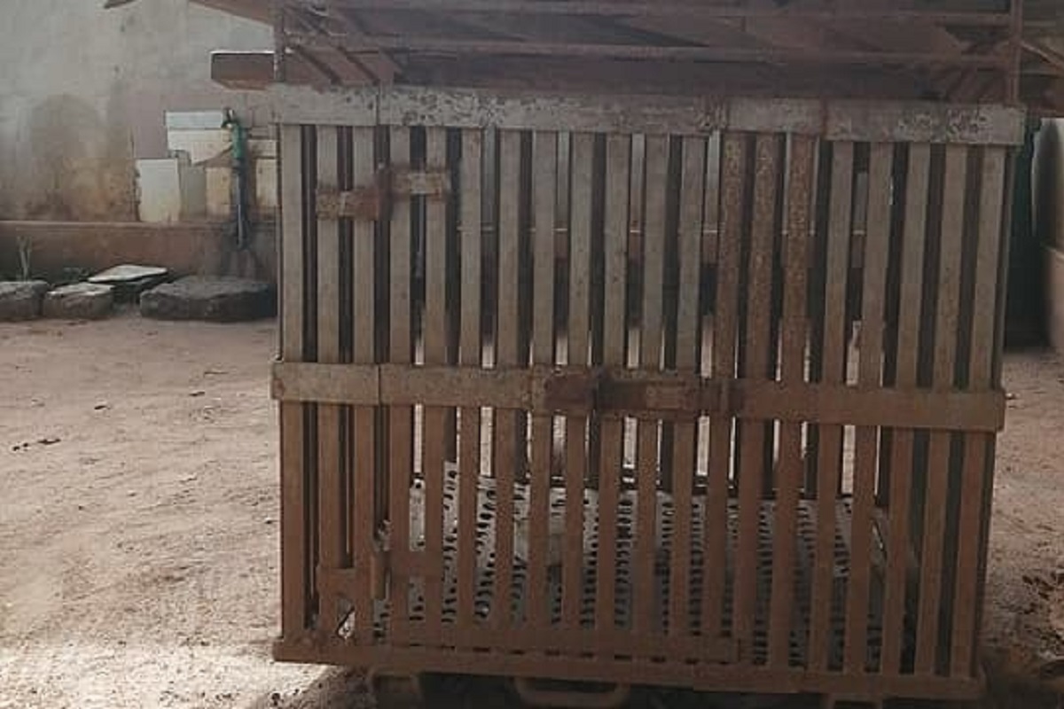 Quelle horreur ! Un enfant découvert enfermé dans une cage pour chien