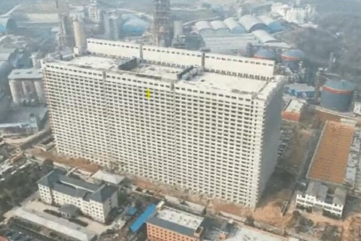 Chine : un « hôtel » de 26 étages construit pour 650 mille cochons (vidéo)
