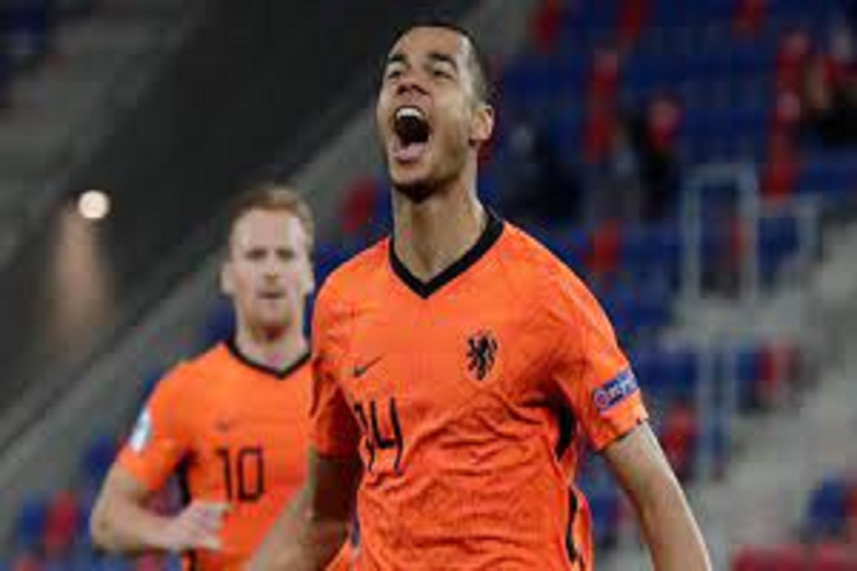 Coupe du monde 2022 / Cody Gakpo : qui est ce jeune néerlandais d’origine togolaise qui a fait souffrir l’équipe sénégalaise ?