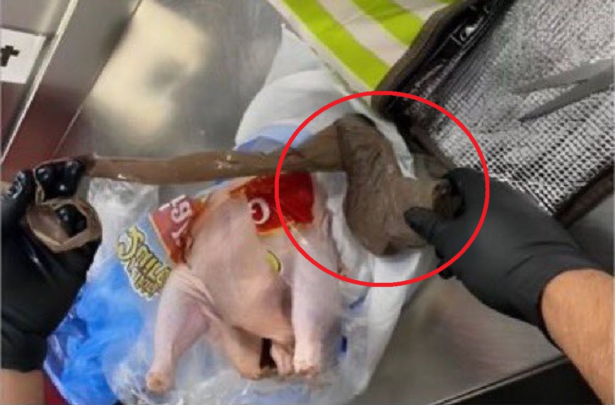 Etats-Unis : une arme à feu cachée dans du poulet pour déjouer la sécurité dans un aéroport (photo)