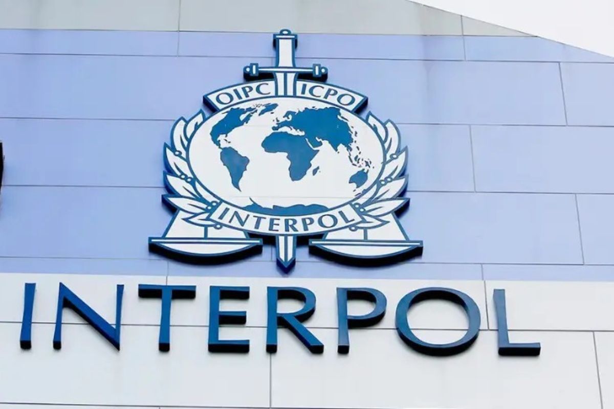 Cybercriminalité en Afrique : bonne pêche pour l’Interpol