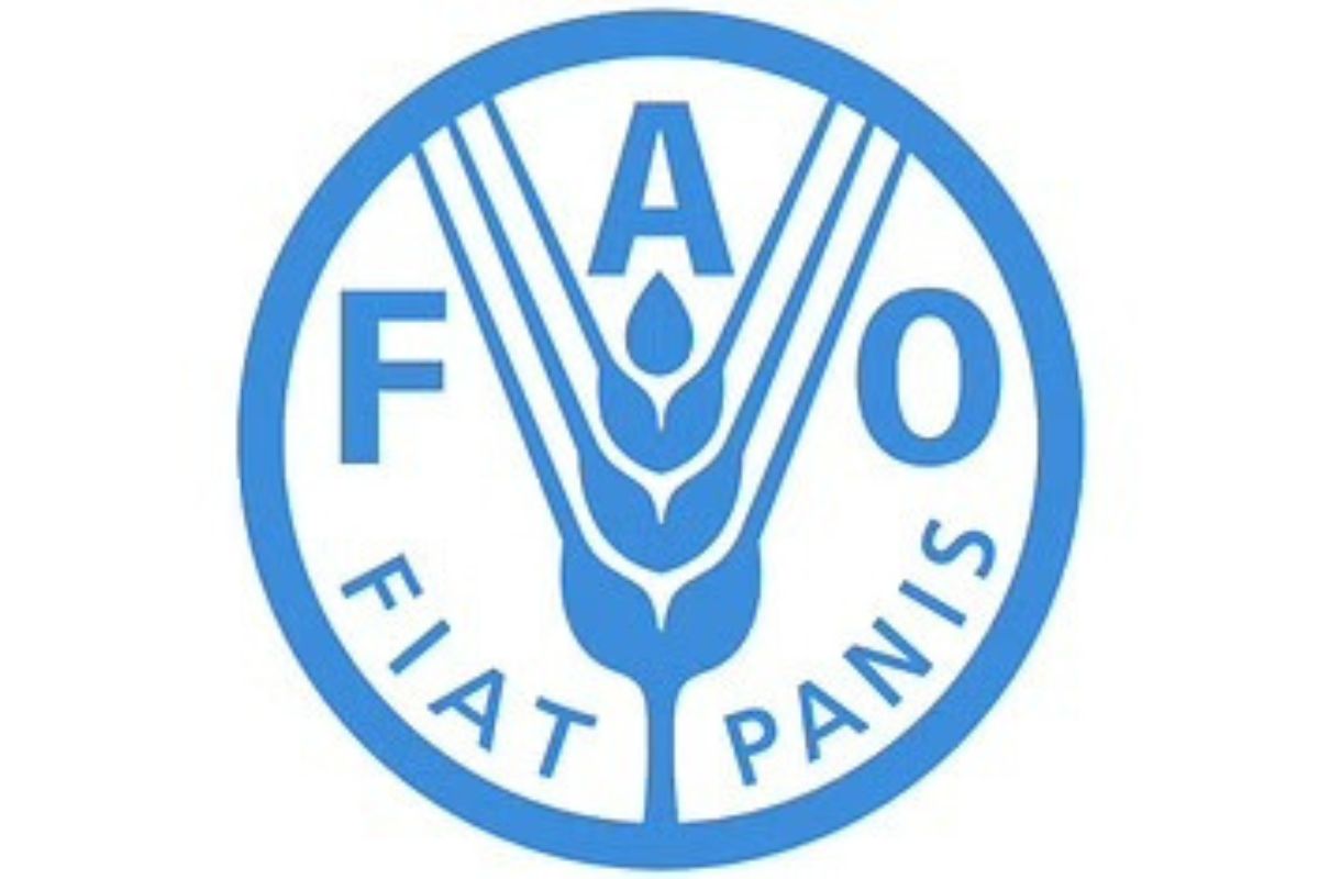 Programme de boursiers pour les bureaux régionaux/sous-régionaux, nationaux, de liaison et le siège de la FAO