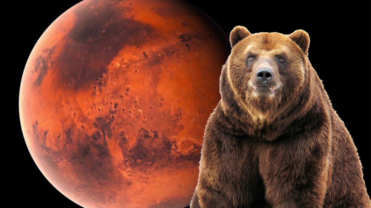 Un ours sur la planète Mars ? La NASA publie une photo très étrange