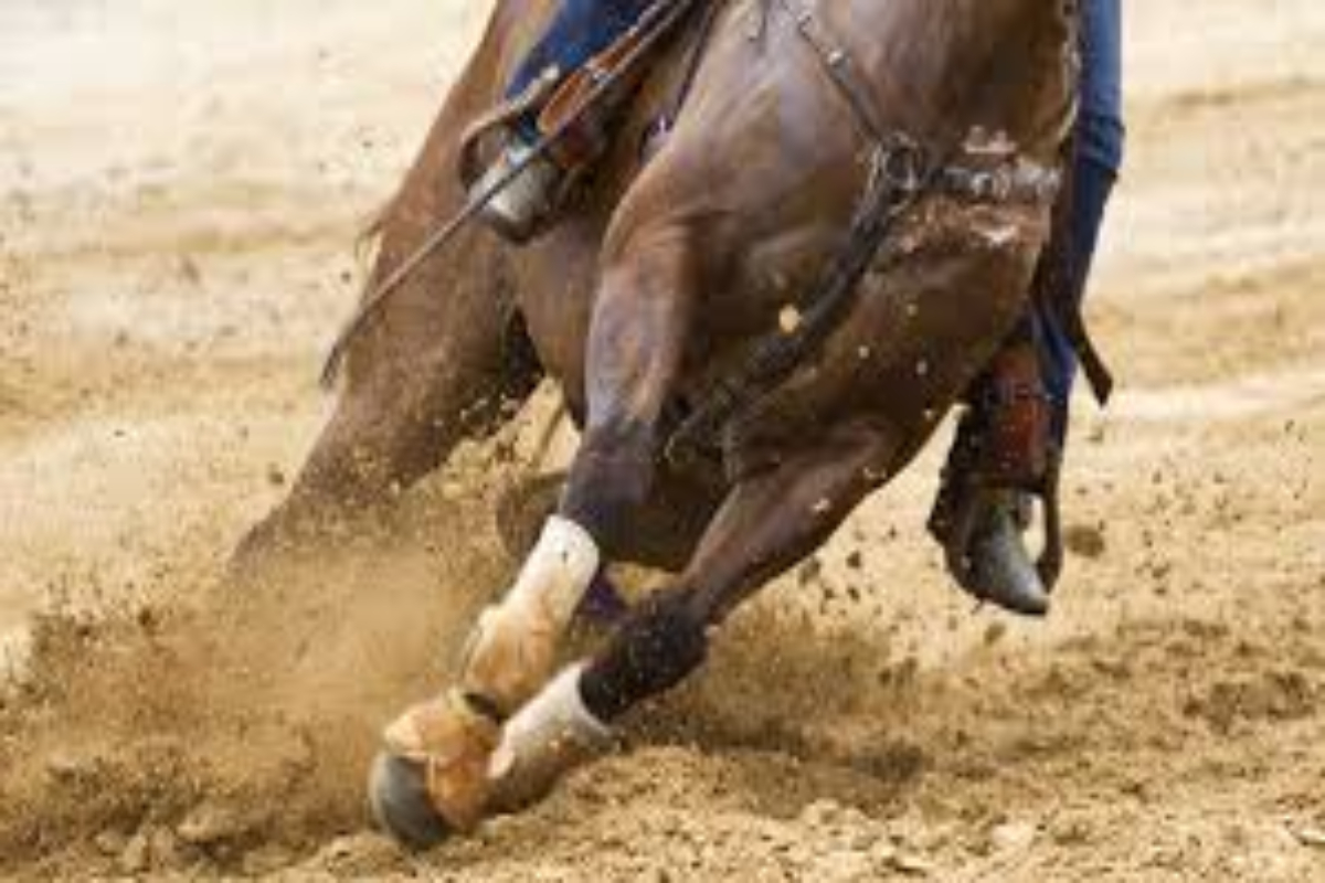 femme tuée par cheval