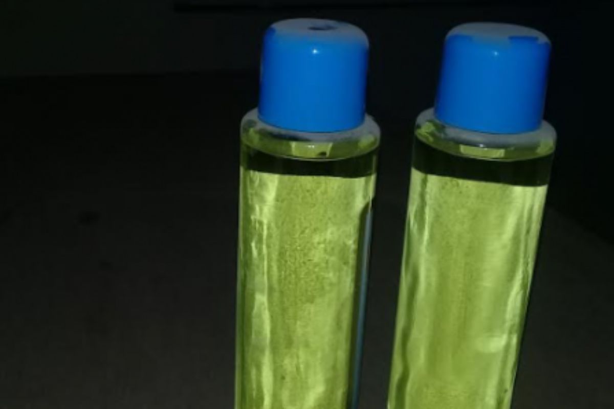 Sénégal jeunes morts parfum