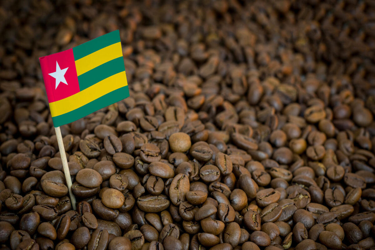 Togo : un projet de formation des baristas en planification