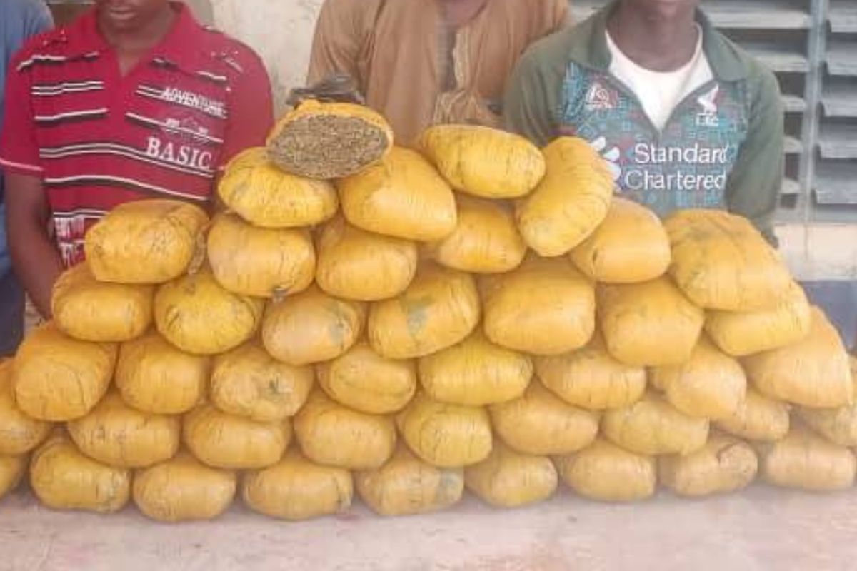 Niger : démantèlement d’un réseau de trafic international de dr0gue